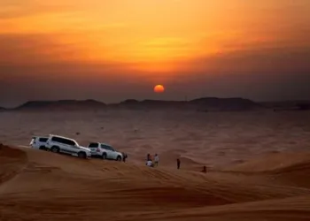 Overnight Safari